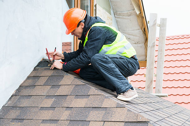 Best Roof Gutter Cleaning  in Floydada, TX